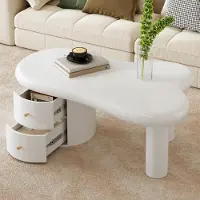 OKWISH Table basse - Forme Irrégulière avec 2 Tiroirs - Blanc