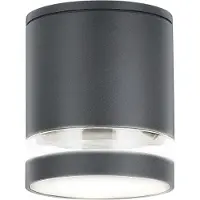 Rabalux Spot de plafond extérieur 1xGU10 Zombor anthracite 7817