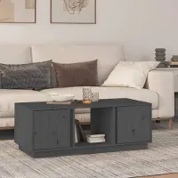 Prolenta Maison Exclusive - Table basse grise 110x50x40 cm en pin massif