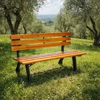 Mojawo Banc de parc stable en bois massif et fonte 150 x 56 x 70 cm