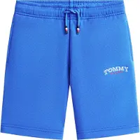 Tommy Hilfiger Pantalon bleu / rouge / blanc