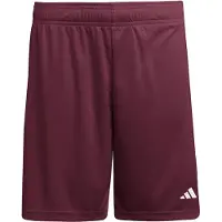 Adidas Pantalon de sport 'Entrada26' bourgogne / blanc