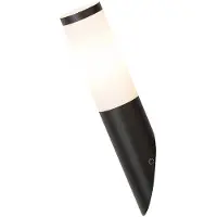 Rabalux 8145 Applique extérieure Black torch, E27, acier inoxydable, noir-blanc, moderne, IP44, 36,5cm