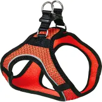 Nobby Harnais "MESH AIR" orange XS-S Poitrine : 30-35 cm, Ventre : 30-36 cm