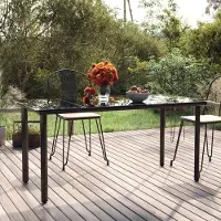 The Living Store Table à manger de jardin noire 160x80x74 cm Acier et verre trempé