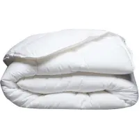Blanreve Couette Tempérée Anti-Acariens , 200 x 200 cm, 300 gr/m², Blanc