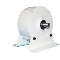 OEM Générateurs éoliens, conception sans engrenage, technologie d'aimant permanent, 24V, double arbre, avec base