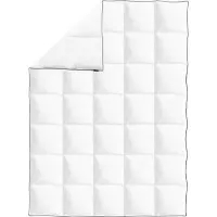 vidaXL Couette d'hiver en duvet 150x200 cm