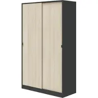 Dmora Fiora - Armoire 2 Portes, 120x200h cm Noir Anthracite, Porte-manteaux