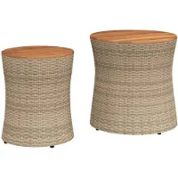 Syfax Tables d'appoint de jardin 2pcs dessus en bois beige poly rotin
