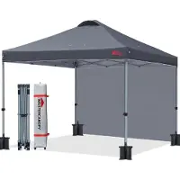 Sonstiges MasterCanopy Pavillon 2,5 x 2,5m Pavillon pliable avec paroi latérale Gris foncé