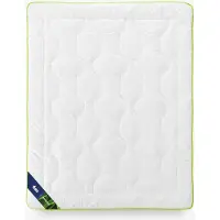 Sonstige Verlage Couverture antiallergique 200x220 Bambou toute l'année 1600g blanc AMZ