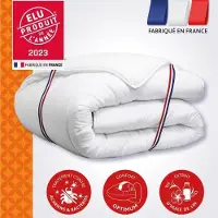 Dodo Couette CHAMPS DE LIN 220x240 cm, Chaude, 450G/m², 2 Personnes, Anti-acariens Antibactériens