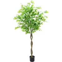 StarTech.com Ficus artificiel - Arbre en pot - 160 cm - Pour l'extérieur - Plastique - Au sol - Blanc laiteux