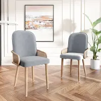 Flieks Rotin Chaise de salle à manger set de 2, fauteuil de salon avec pieds en métal, chaises de cuisine chaise de travail chaise de salle à manger avec revêtement en velours, gris