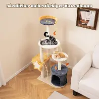 Northio Arbre à chat à griffoir avec grotte à chat & siège en peluche & jouets & jouets & plateformes 60 x 41 x 128 cm
