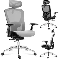 Adler Expert 5.3 Grey Mesh Swivel Chair