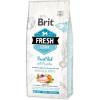 Brit Adult Large poisson frais avec potiron pour chien