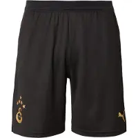 Puma Hommes, Bas de sport, GSK Training Shorts w/ pockets with Star (M), Or, Noir