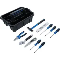 Bgs Caisse à outils en plastique avec assortiment de 11 outils - 70225
