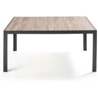 Oviala Table de jardin en aluminium et céramique 8 places 166 cm - Tivoli