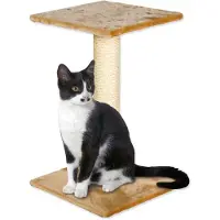 Magic Cat Beata beige 60 cm 1 pc