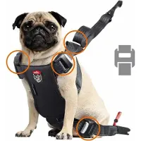 Zolux Szelki dla psa TRAVEL SAFE S czerwone (Chien)