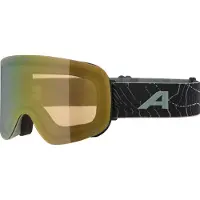 Alpina Masque de ski