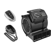 Vacmaster Ventilateurs Cardio54 Ventilateur de sol pour salle de sport avec télécommande Ventilateur pour vélo Ventilateur silencieux AM1202R