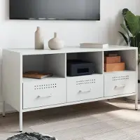 Prolenta Maison Exclusive - Meuble TV blanc 100,5x39x50,5 cm Acier