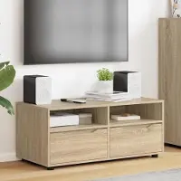 Prolenta Maison Exclusive - Meubles TV, dimensions 100 x 48 x 43 cm, en panneaux de particules imitation chêne Sonoma