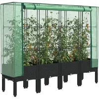 Prolenta Maison Exclusive - Potager surélevé avec serre intégrée, aspect rotin, 160 x 40 x 140 cm