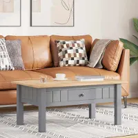 Prolenta Maison Exclusive - Table basse Gris 100x60x43,5 cm Pin massif Assortiment Panama