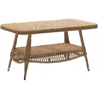 AEA Table basse de luxe marron Table moderne design Table basse en rotin d'appoint