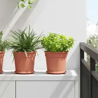 Prolenta Maison Exclusive - Pots de fleurs, lot de 24, rouge brique, Ø 19 x 16 cm, en plastique