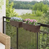 Prolenta Maison Exclusive - Balcon (2 pièces). Couleur : marron. Dimensions : 50 x 17 x 17 cm. Matériau : métal