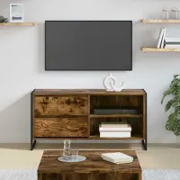 Prolenta Maison Exclusive - Meuble TV, dimensions : 100 x 36 x 49,5 cm, fabriqué en panneaux de particules imitation chêne fumé