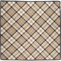 Barbour Kinsale Scarf Marron Femme