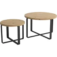 AEA Table basse Set tables salon design inox 2pcs table d'appoint table 2x