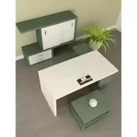 AEA Table basse moderne verte Meubles en bois de luxe Meubles de salon Design Nouveau