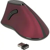 DeLOCK Souris optique ergonomique verticale à 5 boutons, sans fil 2,4 GHz - Silencieuse