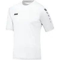 Jako Trikot Team KA