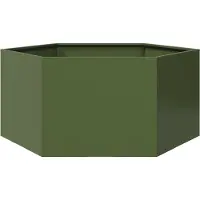 Prolenta Maison Exclusive - Bac à plantes vert olive hexagonal 104x90x45 en acier