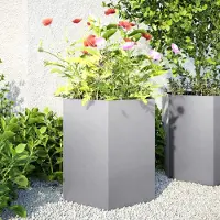 Prolenta Maison Exclusive - Jardinières 2 pièces hexagonales 46 x 40 x 45 cm Acier galvanisé