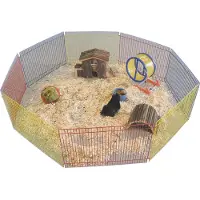 Nobby Hamster en liberté 8 grilles 34 x 23 cm coloré