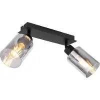 Globo Lampe de plafond Hadera Noir à deux lumières avec verre fumé