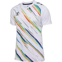 Hummel T-Shirt fonctionnel 'Match Triumph' gris foncé / noir / blanc