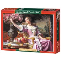 Castorland Puzzle Frau im lila Kleid 3000 Teile