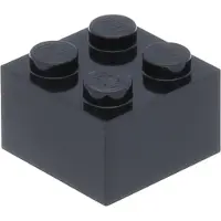 LEGO 50 pièces , pièce c. 3003 en noir