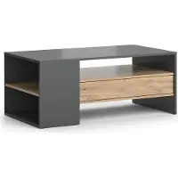 Vicco Table basse Fabien Chêne de force doré 110x60cm, Model 37955